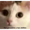 Tan grandote y tan chillón