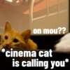 Meow Pi Miew 11