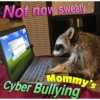 🐼🗑🦝 Raccoons l 🦝 🗑 🐼  2