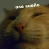 ase sueño