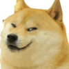 Dog Memes 7