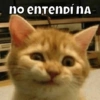 Michis🐱 13