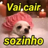 Os mais debochados 13