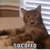 MEMES DIVERTIDOS 13