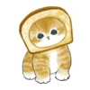 Gatitos <33 30