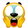 Mikecrack 2021 17