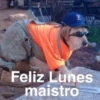 Feliz Lunes
maistro