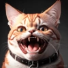 Gatos 13