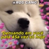 Posts apaixonados @rds_gang 7