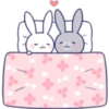 Lovely rabbit 22