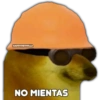 Perrito Chulo 24