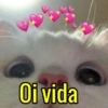 (C
2)
Oi vida
