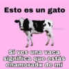 Esto es un gato @kawaiiposting Si ves una vaca significa que estás enamoradx de mi