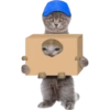 Stiker kucing cute pt3 30