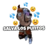 Free Fire Español 14