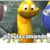 Pichulas 17
