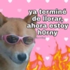 ya terminé
de llorar,
ahora estoy
horny
@kawaiiposting