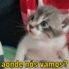 aonde nós vamos?