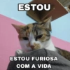Chicória Maria #3 15