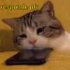 🐱🐾🐈 Cats lV  🐈🐾🐱 29