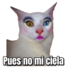 Gatos Sad 22