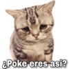 Stickers Tristes 😿 15