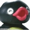 Pingu 🐧 28