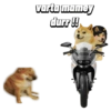 Sticker pack 3 (dogeism) 2