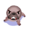 Perropelon 5