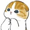 Abel's cat 1 9