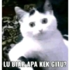 LU BIAR APA KEK GITU?
