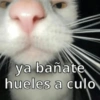 ya bañate hueles a culo
