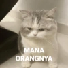 MANA ORANGNYA