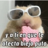 y a ti en que te
afecta biejo puto