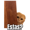 Gatos Sad 25