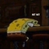 NT NT B