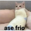 ase frio