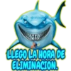 NEMO grupo 26