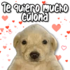 Te quiero mucho
Culona
3
KANE. STICKERS