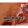 Aleatório 25