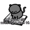 Pack de gatitos 28