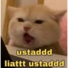 ustaddd liattt ustaddd