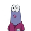 MEMES 1 15