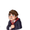 Harry Potter 21