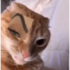 Shitpost Random 1 6