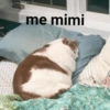 💓 ✨Memes y amor✨ 💓 11