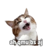 Kocheng loetjoe 2