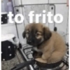 to frito
