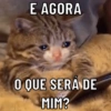 VOCÊ PRECISA DESSAS 👇🏻😯 6