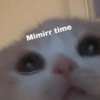 Mimirr time Conche tugator